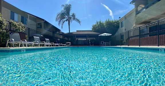 the swimming pool at our hotel in palm springs