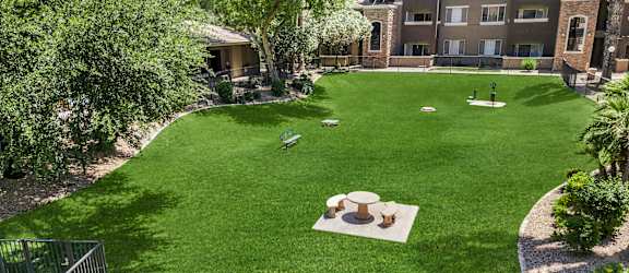 A green lawn with a fence and a building in the background.