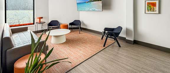 A living room with a television, chairs, and a plant.