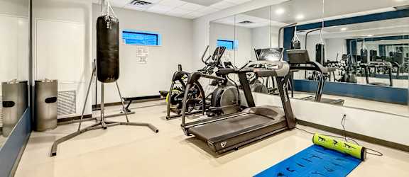 A gym with a punching bag, treadmill, and exercise bikes.