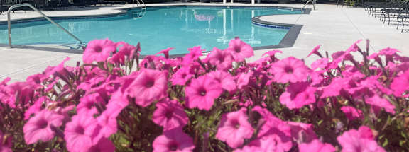 A pool surrounded by pink flowers and green umbrellas.