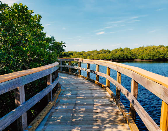 a wooden boardwalk over a body of water with trees in the background