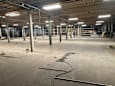 A large, empty warehouse with concrete floors and exposed pipes.