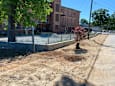 A tree in a small patch of dirt in front of a building.