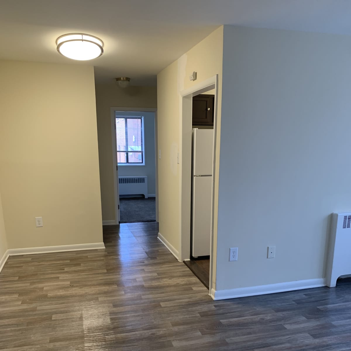 Photos and Video of Meadowbrook Run in Washington, DC