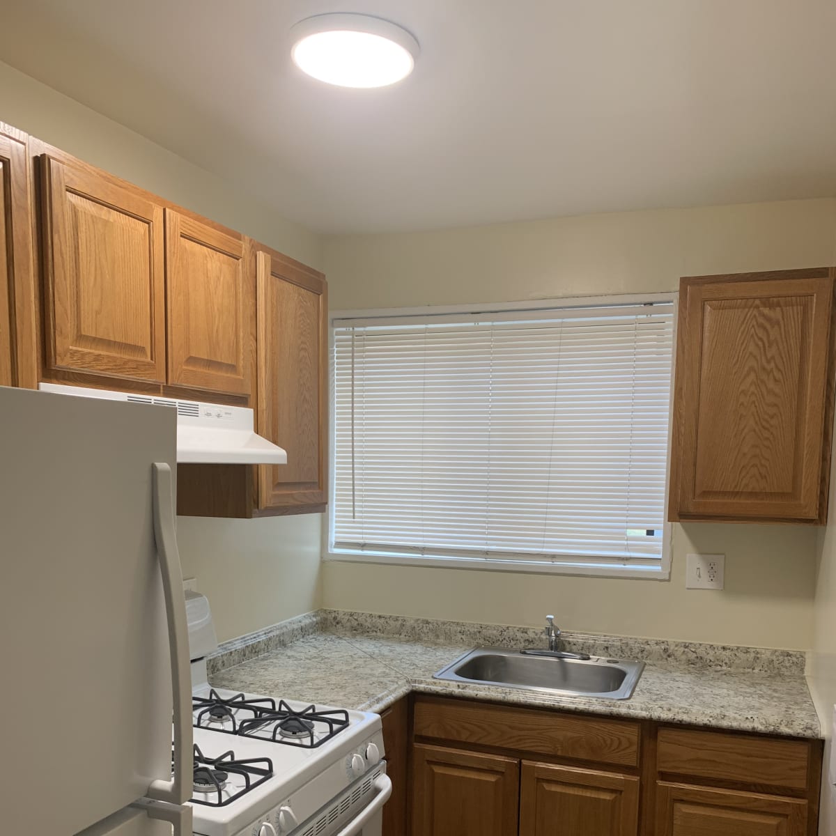 Photos and Video of Meadowbrook Run in Washington, DC