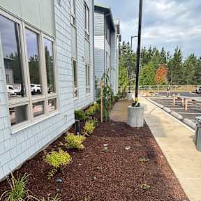 A building with a green roof and plants growing on it.