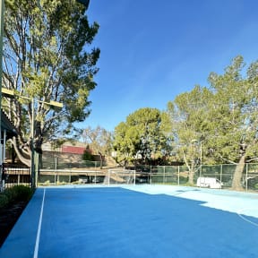 the sport court with soccer net and lush foliage at The Bryant Apartments at Yorba Linda, Yorba Linda California