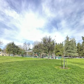 Grassy field with trees at City View Apartments at Warner Center, Woodland Hills, CA 91367