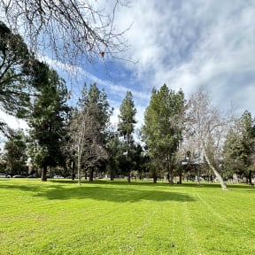 Grassy field with trees at City View Apartments at Warner Center, Woodland Hills, CA