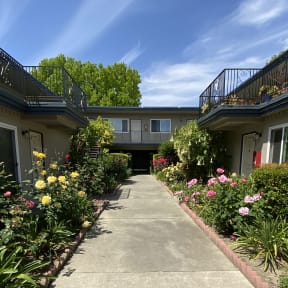 Colonial House Apartments San Jose 1560 San Tomas Aquino Road  San Jose, CA 95130