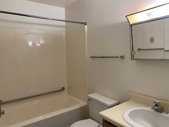 Phase 1 Bathroom