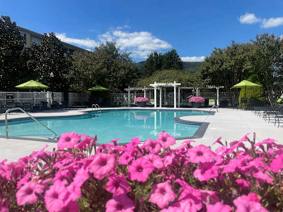 A pool surrounded by pink flowers and green umbrellas.