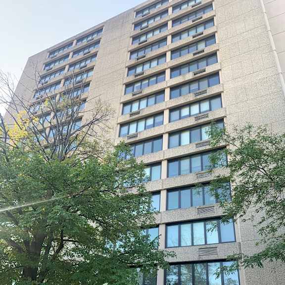 A tree is in front of a building with many windows.