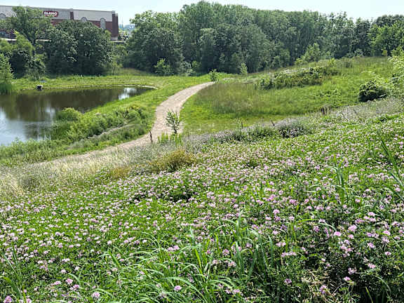 a dirt road through a field of flowers next to a river at Meridian at CityPlace in Woodbury, MN 55125