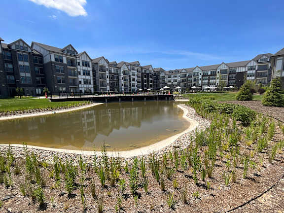 A large pond in the middle of a field of plants with buildings in the background.