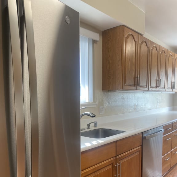 kitchen SS appliances