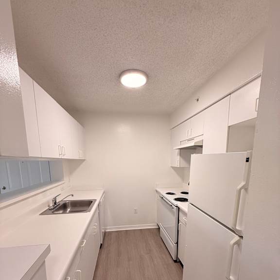 Empty Kitchen at Heron Pointe Apartments, Florida