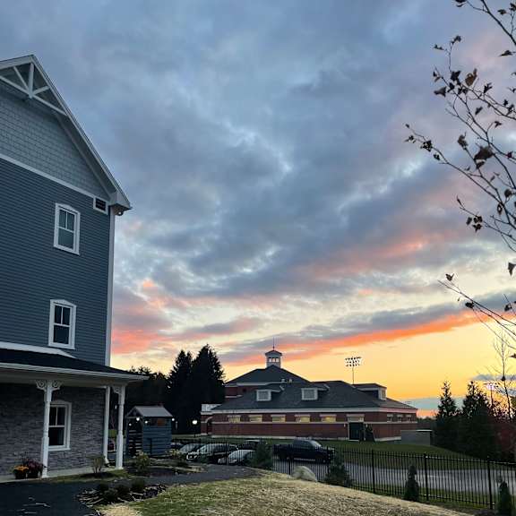 A house with a grey roof and a tree in front of it.