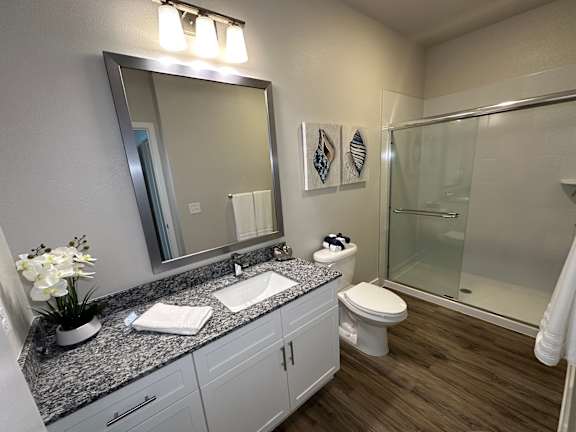 A bathroom with a sink, toilet, mirror, and a shower.