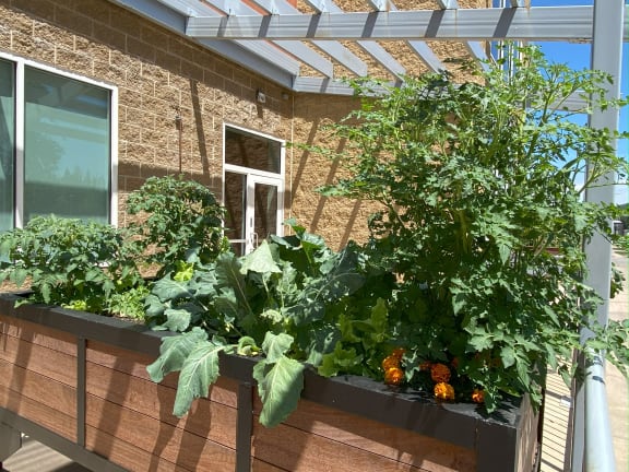 Aguilera Gardens