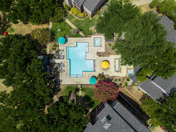 A backyard with a pool and a tree with pink flowers.