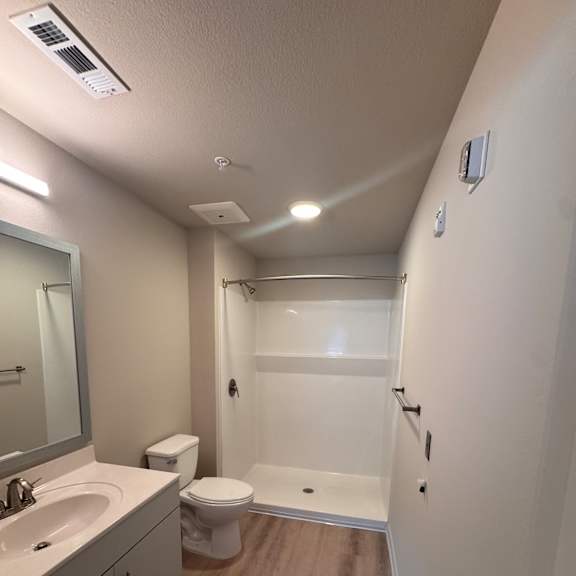 A bathroom with a walk-in shower and a toilet.