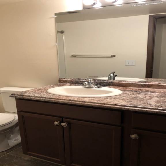 a bathroom with a sink and a toilet and a shower