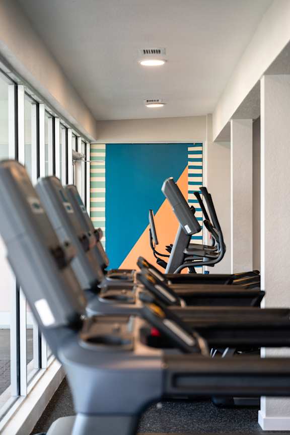 A row of treadmills are lined up in a gym.