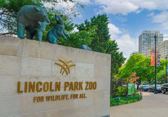 The Lincoln Park Zoo sign is displayed on a wall.