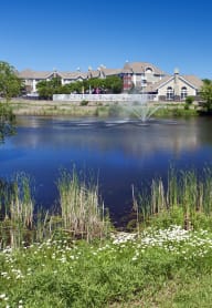 a pond with grass and flowers in front of a house