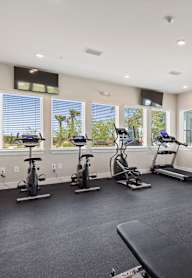 A spacious home gym with a variety of exercise equipment and large windows.