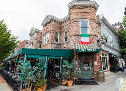 Lupo Verde near The Palisades at Logan Circle Apartments, 1464 Rhode Island Avenue, NW, Washington, DC 20005