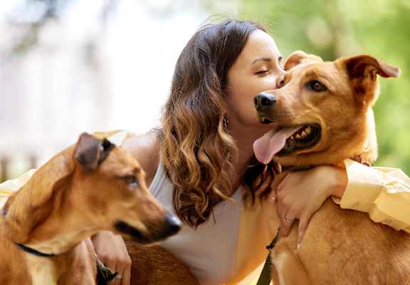 a woman is hugging her two dogs