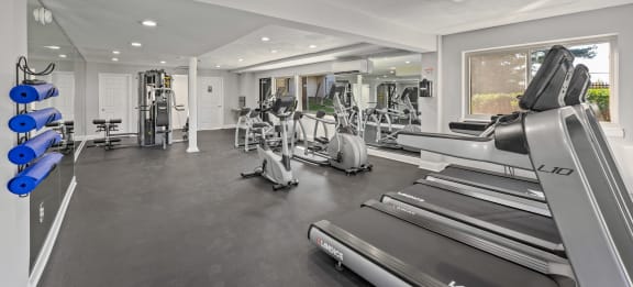 Two Level Fitness Center at The District at Forestville in Forestville, MD
