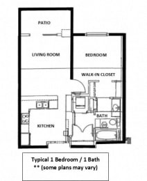  Floor Plan 1 Bedroom 1 Bathroom