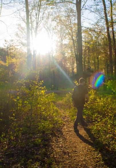 A person is walking on a trail in the woods with the sun shining through the trees.