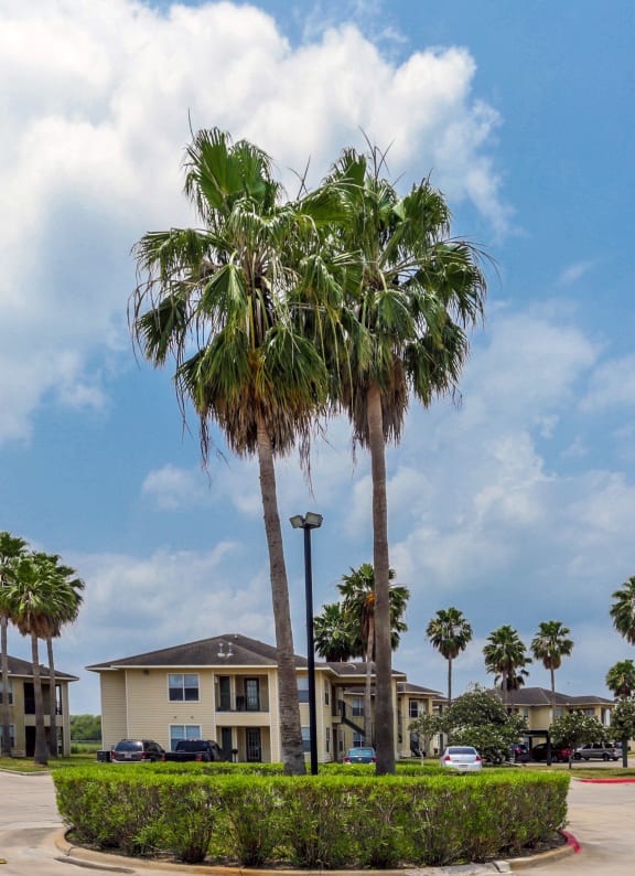 Amistad Apartments Apartments in Donna, TX