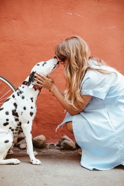 A woman in a blue dress is hugging a Dalmatian dog.