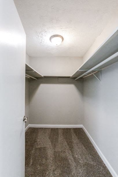 Closet at The Mason Mills Apartments, Georgia, 30033