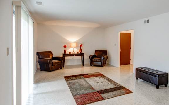 A living room with a rug, a sofa, a chair and a bed.