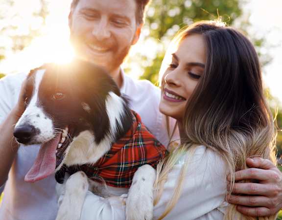 Pet Love at Thornberry Woods Apartment Homes, Naperville, IL, 60565