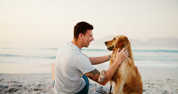 A man is petting a dog on the beach.