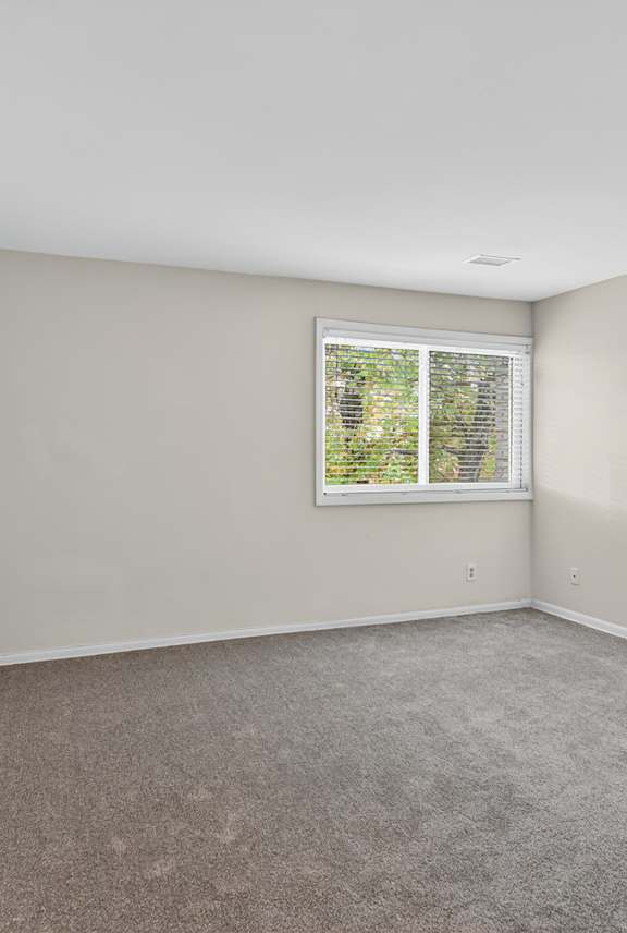 A room with a window and carpeted floor.