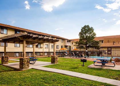 A sunny day at the apartment complex with a pool and a tree.