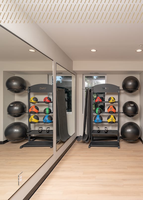 A gym with a mirror, weights, and exercise balls.