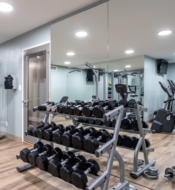 a fully equipped gym with cardio equipment and weights