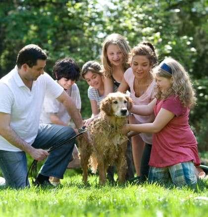 a family is petting a dog in the yard
