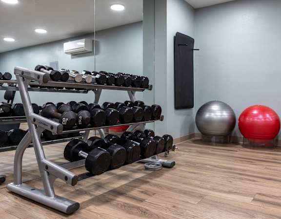 a gym with a rack of weights and a red pilates ball
