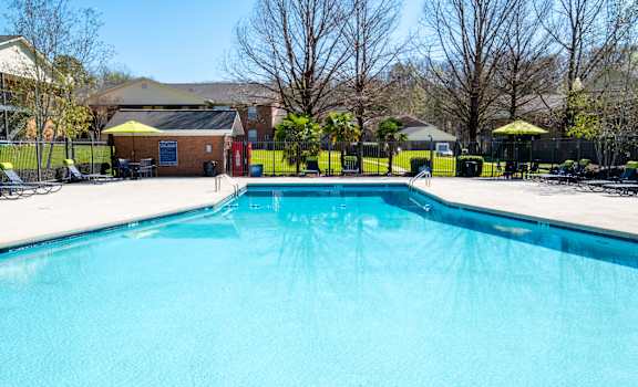 A large blue swimming pool in a sunny outdoor setting.